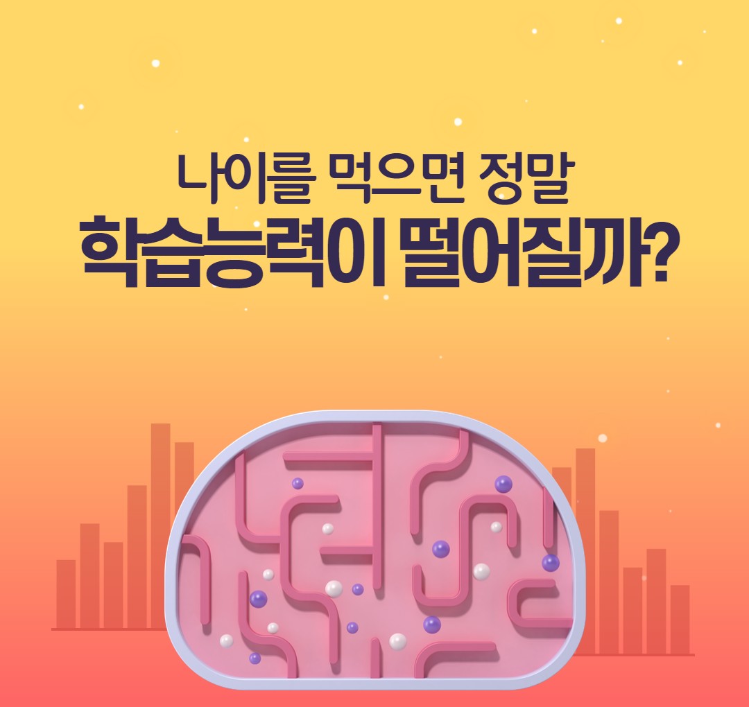 성인 학습 능력을 다룬 이미지