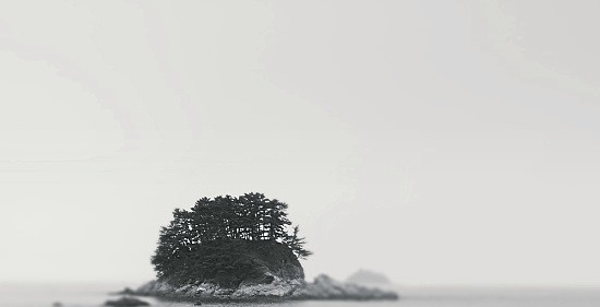 직무 탐색 과정을 설명한 이미지
